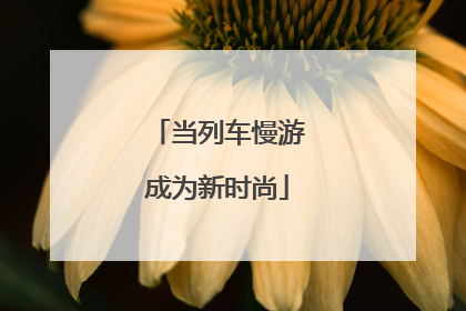 当列车慢游成为新时尚