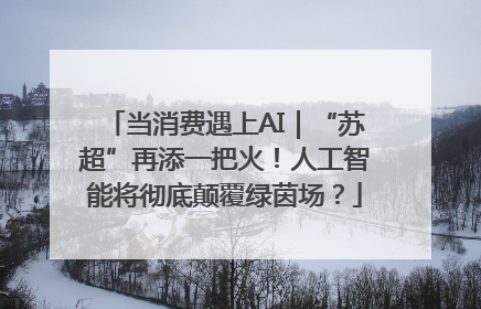 当消费遇上AI｜“苏超”再添一把火！人工智能将彻底颠覆绿茵场？