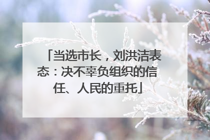 当选市长，刘洪洁表态：决不辜负组织的信任、人民的重托