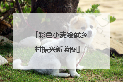彩色小麦绘就乡村振兴新蓝图