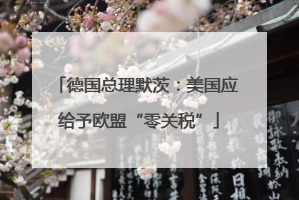 德国总理默茨：美国应给予欧盟“零关税”