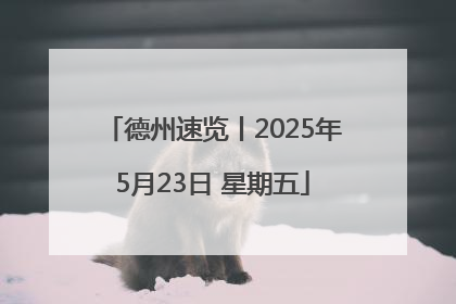 德州速览丨2025年5月23日 星期五