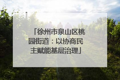 徐州市泉山区桃园街道：以协商民主赋能基层治理