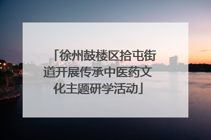 徐州鼓楼区拾屯街道开展传承中医药文化主题研学活动