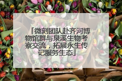 微刻团队赴齐河博物馆群与泉溪生物考察交流，拓展永生传记服务生态