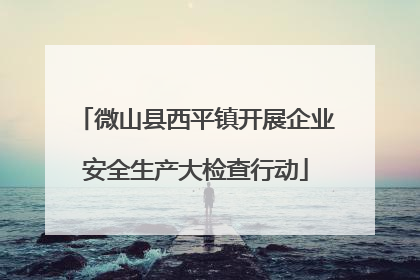 微山县西平镇开展企业安全生产大检查行动