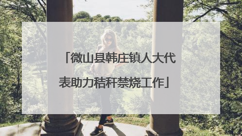 微山县韩庄镇人大代表助力秸秆禁烧工作