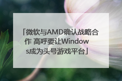 微软与AMD确认战略合作 高呼要让Windows成为头号游戏平台