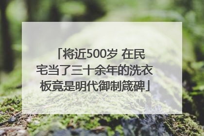 将近500岁 在民宅当了三十余年的洗衣板竟是明代御制箴碑