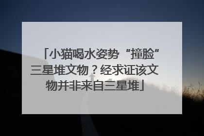 小猫喝水姿势“撞脸”三星堆文物？经求证该文物并非来自三星堆