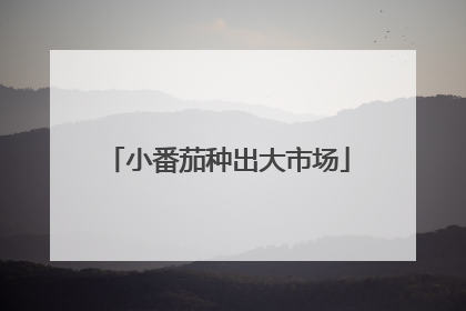 小番茄种出大市场