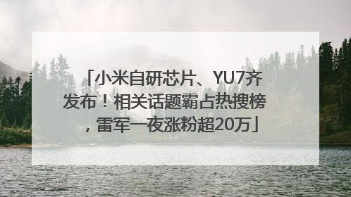 小米自研芯片、YU7齐发布！相关话题霸占热搜榜，雷军一夜涨粉超20万