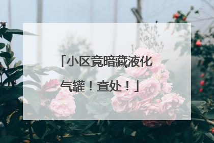 小区竟暗藏液化气罐！查处！