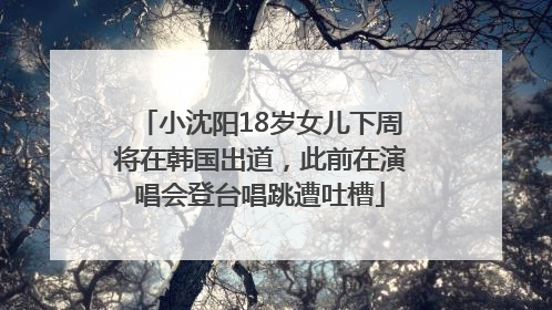 小沈阳18岁女儿下周将在韩国出道，此前在演唱会登台唱跳遭吐槽