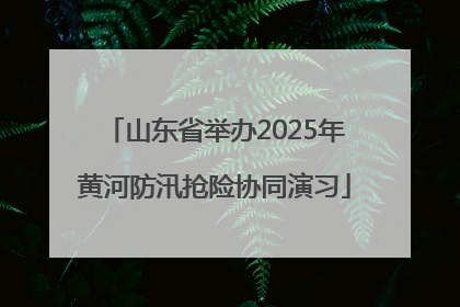 山东省举办2025年黄河防汛抢险协同演习