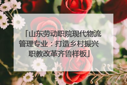 山东劳动职院现代物流管理专业：打造乡村振兴职教改革齐鲁样板