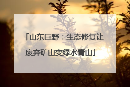 山东巨野：生态修复让废弃矿山变绿水青山