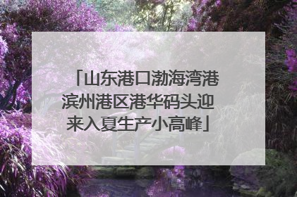 山东港口渤海湾港滨州港区港华码头迎来入夏生产小高峰