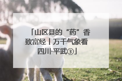 山区县的“药”香致富经丨万千气象看四川·平武③