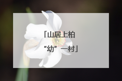 山居上柏 “幼”一村