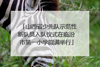 山西省少先队示范性新队员入队仪式在临汾市第一小学圆满举行