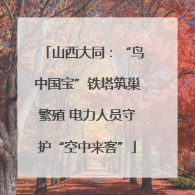 山西大同：“鸟中国宝”铁塔筑巢繁殖 电力人员守护“空中来客”