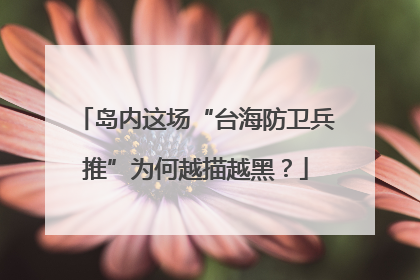 岛内这场“台海防卫兵推”为何越描越黑？