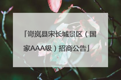 岢岚县宋长城景区（国家AAA级）招商公告