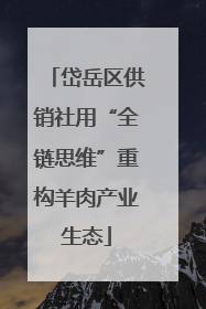 岱岳区供销社用“全链思维”重构羊肉产业生态