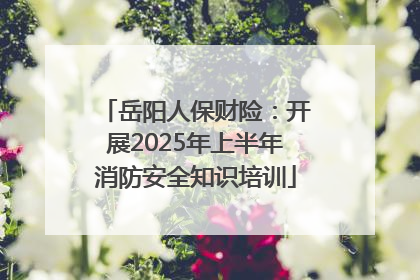 岳阳人保财险：开展2025年上半年消防安全知识培训