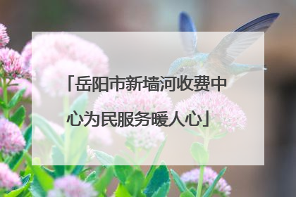 岳阳市新墙河收费中心为民服务暖人心