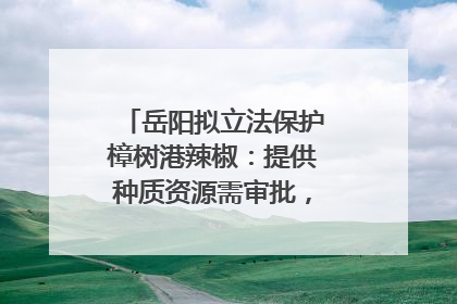 岳阳拟立法保护樟树港辣椒：提供种质资源需审批，违规最高罚5万