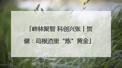 峰林聚智 科创兴张丨贺健：葛根渣里“炼”黄金