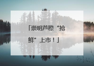 崇明芦穄“抢鲜”上市！