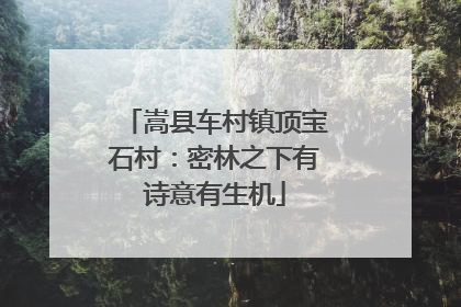 嵩县车村镇顶宝石村：密林之下有诗意有生机