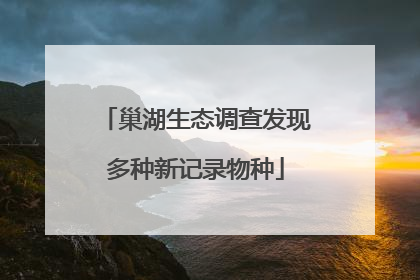 巢湖生态调查发现多种新记录物种