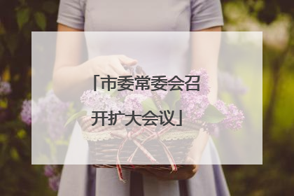 市委常委会召开扩大会议