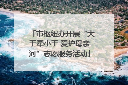市枢纽办开展“大手牵小手 爱护母亲河”志愿服务活动
