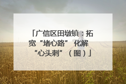 广信区田墩镇：拓宽“堵心路” 化解“心头刺”（图）