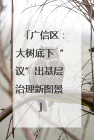 广信区：大树底下“议”出基层治理新图景
