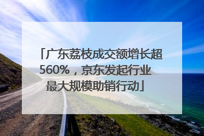 广东荔枝成交额增长超560%，京东发起行业最大规模助销行动