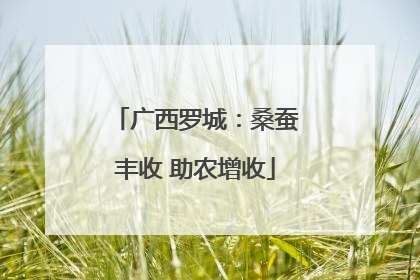 广西罗城：桑蚕丰收 助农增收