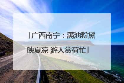 广西南宁：满池粉黛映夏凉 游人赏荷忙