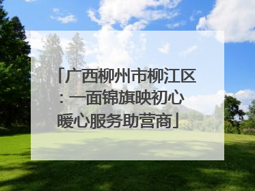 广西柳州市柳江区：一面锦旗映初心 暖心服务助营商