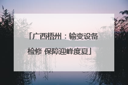 广西梧州：输变设备检修 保障迎峰度夏