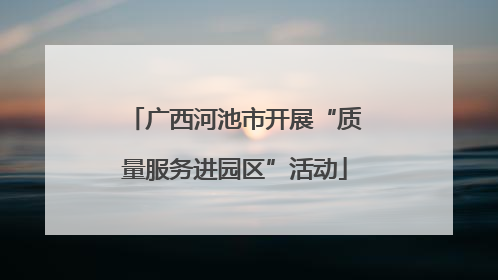 广西河池市开展“质量服务进园区”活动
