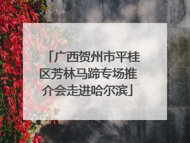 广西贺州市平桂区芳林马蹄专场推介会走进哈尔滨