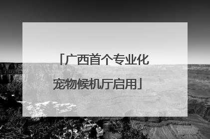 广西首个专业化宠物候机厅启用