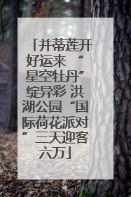 并蒂莲开好运来 “星空牡丹”绽异彩 洪湖公园“国际荷花派对”三天迎客六万