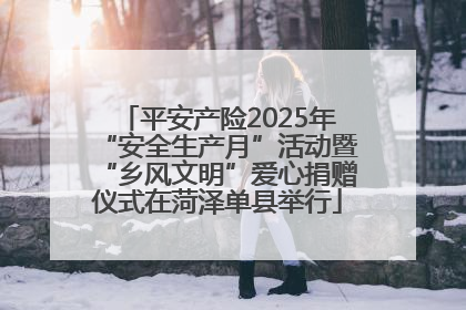 平安产险2025年“安全生产月”活动暨“乡风文明”爱心捐赠仪式在菏泽单县举行